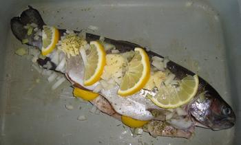 Zalmforel in de oven 6