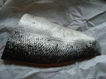 Gravad lax of gemarineerde rauwe zalm 6