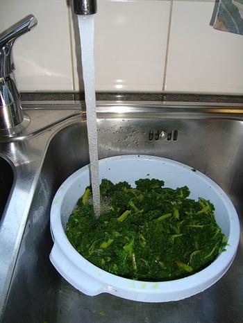 Krulkool, kale of boerenkool diepvriezen 3