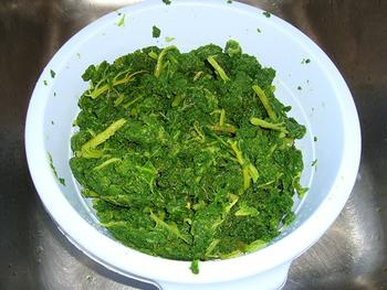 Krulkool, kale of boerenkool diepvriezen 4