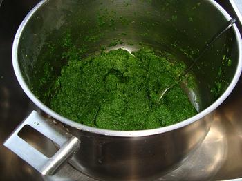 Krulkool, kale of boerenkool diepvriezen 6