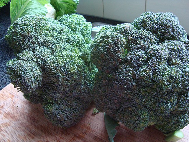 Broccolisoep 1