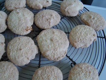 Kokoskoekjes in de thermomix 4