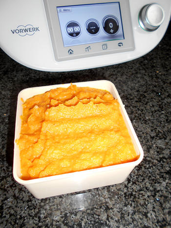 Koud boterhambeleg van wortel en paprika in de thermomix 2