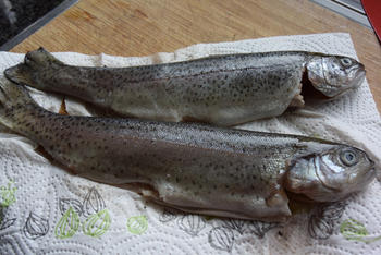 Forel met venkel in papillot met gebakken aardappeltjes 6