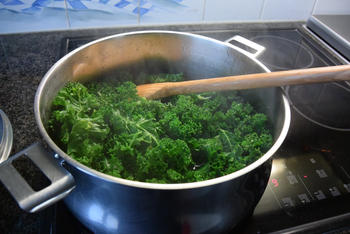 Pasta met zalm, chips en pesto van boerenkrulkool 7