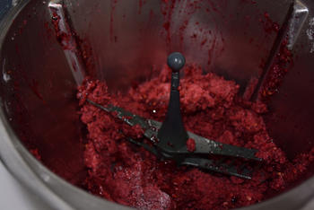 Thermomixrecept: sorbet van rood fruit 4