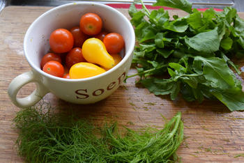 Venkelstamppot met tomaatjes, rucola en lamskoteletjes 5