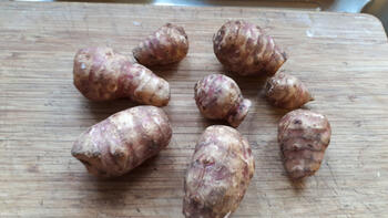 Aardpeer-aardappelsoep met lente uitjes 2