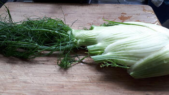 Kabeljauw met notenkorst en risotto met venkel en rode biet 2