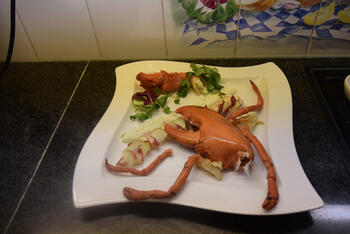 Kreeft met appel en appeldressing 9