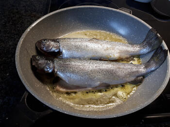 Ardeense forel met groene kruidenpuree 4