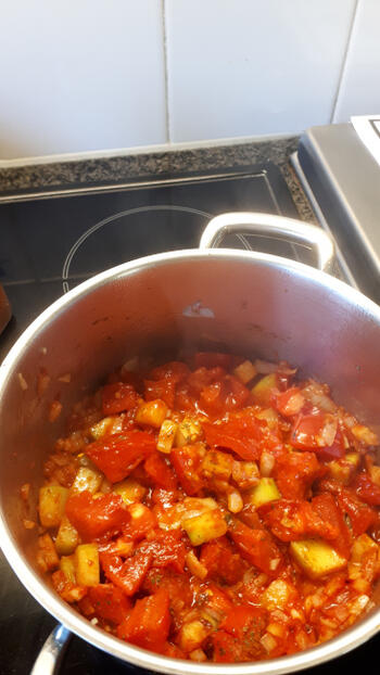 Vid met kipfilet in tomatensaus 6