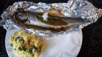 Forel in papillot met daslook en aardappelpuree met daslook 6