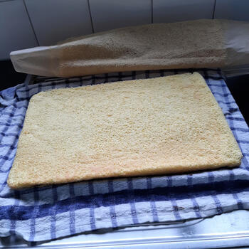 Biscuitrol met lemon curd en mango 7