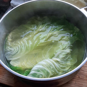 Met gehakt gevulde spitskoolbladeren 2