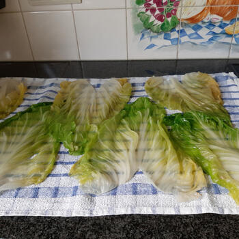 Met gehakt gevulde spitskoolbladeren 3