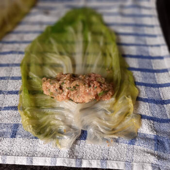 Met gehakt gevulde spitskoolbladeren 6