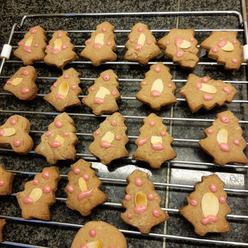 Chocolade boterkoekjes 10