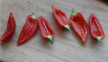 Hapje, gevulde minipuntpaprika�s 3
