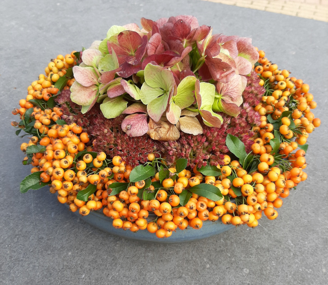 Herfstaart met vuurdoorn, sedum en hortensia